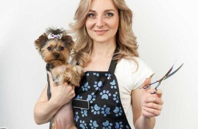 The Do’s And Don’ts Of Bathing Your Pet: A Guide To Safe And Effective Pet Grooming