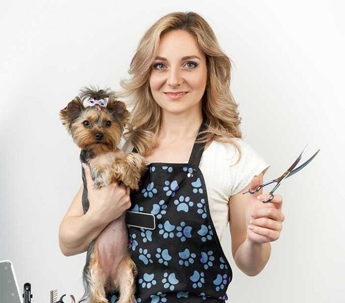The Do’s And Don’ts Of Bathing Your Pet: A Guide To Safe And Effective Pet Grooming